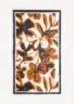 melita-cotton-beach-pareo-burnt-umber-front Melita Pareo - Burnt Umber - Sea You Soon